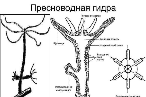 Ссылка на кракен kraken clear com